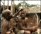 As a part of a working project on the DRCongo Mbuti Pigmies, I posted some frames of the shooting, giving some details about their story in Africa. Pygmy is a term used for various ethnic groups worldwide whose average height is unusually short; anthropologists define pygmy as any group whose adult men grow to less than 150 cm (59 inches) in average height. A member of a slightly taller group is termed