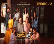 Kuch Ankahi Episode 12 &#124; Sajal Aly &#124; Bilal Abbas &#124; 25th March 2023 &#124; ARY Digital Drama&#60;br/&#62;&#60;br/&#62;To watch all the episodes of Kuch Ankahi:https://bit.ly/3WX9I7M&#60;br/&#62;&#60;br/&#62;Subscribe NOW: https://www.youtube.com/arydigitalasia&#60;br/&#62;Download ARY ZAP: https://l.ead.me/bb9zI1&#60;br/&#62;&#60;br/&#62;Kuch Ankahi is a modern day and light-hearted drama that is full of messages. The drama discusses issues relating to women’s legal &amp; religious right to property, harassment at workplace, pressurizing girls for marriage, &#60;br/&#62;&#60;br/&#62;Writer: Mohammed Ahmed&#60;br/&#62;Director: Nadeem Baig&#60;br/&#62;&#60;br/&#62;Cast:&#60;br/&#62; Sajal Aly,&#60;br/&#62; Bilal Abbas Khan,&#60;br/&#62; Mira Sethi,&#60;br/&#62; Mohammed Ahmed,&#60;br/&#62; Irsa Ghazal,&#60;br/&#62; Qudsia Ali,&#60;br/&#62; Vaneeza Ahmed,&#60;br/&#62; Babar Ali,&#60;br/&#62; Adnan Samad Khan,&#60;br/&#62; Annie Zaidi,&#60;br/&#62; Yousuf Bashir Qureshi – YBQ,&#60;br/&#62; Alina Abbas,&#60;br/&#62; Sheheryar Munawar,&#60;br/&#62; Asma Abbas,&#60;br/&#62; Ali Safina,&#60;br/&#62; Hammad Farooq,&#60;br/&#62; Uroosa Siddiqui and others.&#60;br/&#62;&#60;br/&#62;Watch Kuch Ankahi Every Saturday at 8:00 PM only on ARY Digital&#60;br/&#62;&#60;br/&#62;#kuchankahi#SajalAly #BilalAbbasKhan #MiraSethi #IrsaGhazal #VaneezaAhmed #MohammedAhmedSyed #SheheryarMunawer #YBQ #AdnanSamadKhan #QudsiaAli #BabarAli #AliSafina #UroosaSiddiqui #KashfFoundation&#60;br/&#62;&#60;br/&#62;The most watched and loved Pakistani Entertainment channel is now on SoundCloud! Follow us here and listen to your favorite OSTs now! ♫ https://m.soundcloud.com/arydigitalhd&#60;br/&#62;&#60;br/&#62;Pakistani Drama Industry&#39;s biggest Platform, ARY Digital, is the Hub of exceptional and uninterrupted entertainment. You can watch quality dramas with relatable stories, Original Sound Tracks, Telefilms, and a lot more impressive content in HD. Subscribe to the YouTube channel of ARY Digital to be entertained by the content you always wanted to watch.