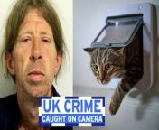 The first season of NationalWorld’s UK Crime Caught on Camera continues with more footage of crime. On this week’s show you’ll see burglars who rammed three police cars, a cat flap burglar, a robber attacking an elderly man, and more UK crime caught on camera. Additionally, this sixth edition of UK Crime Caught on Camera also features more police dashcam footage from officers across the country.